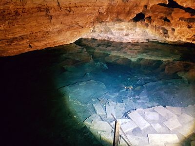 Engelbrecht Cave, Mount Gambier, November 2018