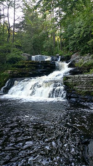 Factory Falls View