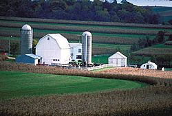 Farm in GreenCountyWI