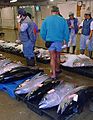 Fish auction Hawaii