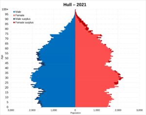 Hull population pyramid