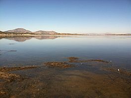 Indian Tom Lake, California.jpeg