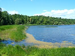 Lake Champlain Marsh.jpg