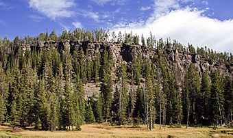 Obsidian Cliff YNP1.jpg