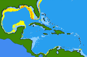 Ogcocephalus corniger range.png