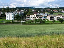 Pfäffikon-Irgenhausen IMG 3410