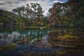 Pupu Springs HDR