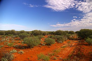 Red Earth Desert