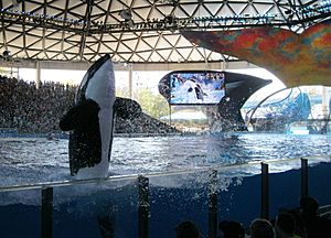 Shamu March 2013