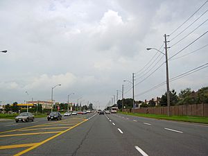 Steeles Avenue