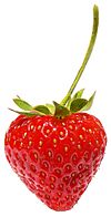 Strawberry444.jpg