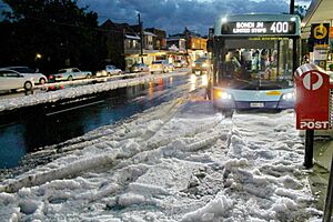 Sydneyhail