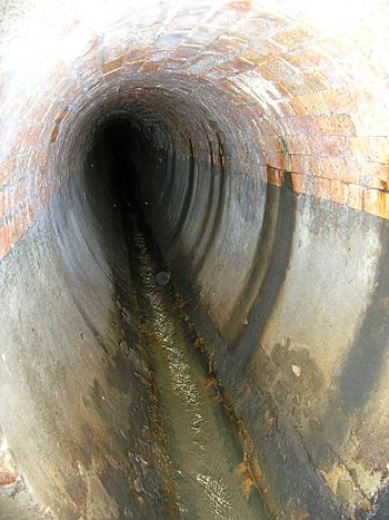 Tank Stream brick lining.jpg