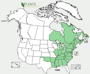 Thelypteris noveboracensis distribution USDA.png