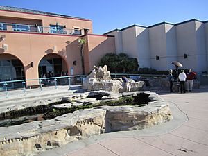 Tidepool Plaza at Birch Aquarium