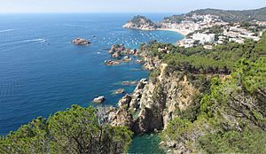 Tossa de Mar View