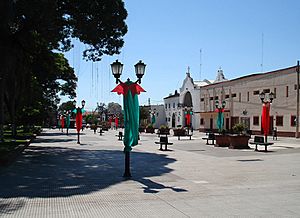 Tucuman Lules Peatonal.JPG