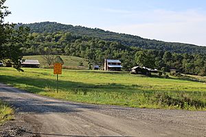 Walnut Bottom, West Virginia 2020.jpg