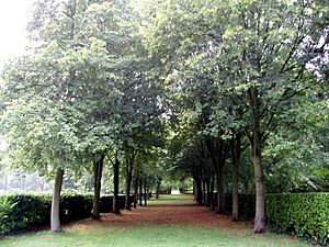 Whipsnade Tree Cathedral, Nave