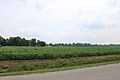 Whiteford township farmland