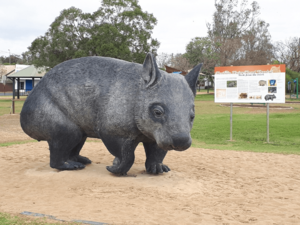 William the wombat