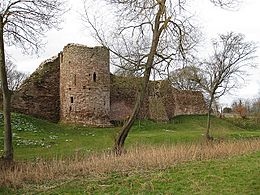 Winter view of Wilton Castle - geograph.org.uk - 1169638.jpg