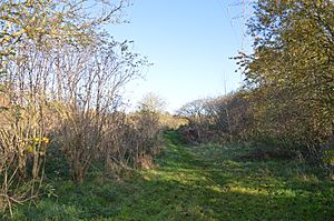 Woodston Ponds 3.jpg