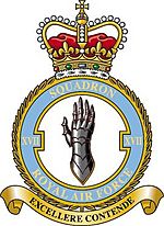 Squadron badge