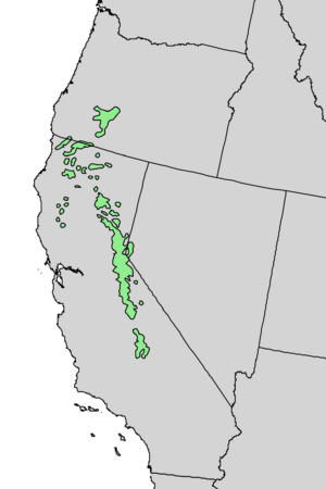 Abies magnifica range map 4.png