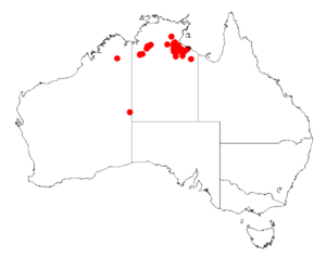 Acacia subternataDistMap872.png