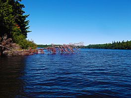 Algonquin Park.JPG