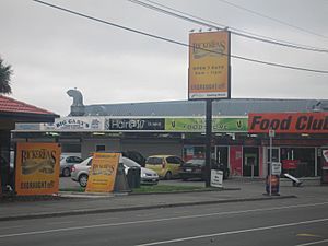 Aranui shops