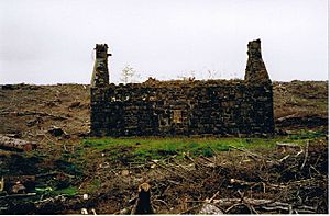 Ardmore - geograph.org.uk - 108466