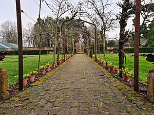 Athelhampton Apple Pergola