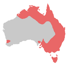 Bird range sulphur-crested cockatoo.png