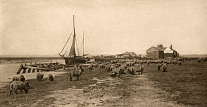 Blackshore, River Blythe, Suffolk, Peter Henry Emerson, 1888