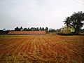 Brick kiln, Belawadi, Mysore