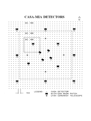 CASA-MIA