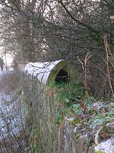 Eglinton deerpark wall