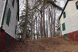 Empty houses in Feltville, NJ