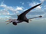 Eudimorphodon NT small