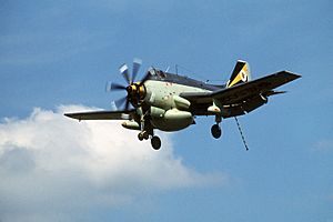 Gannet AEW3 XL502 1988