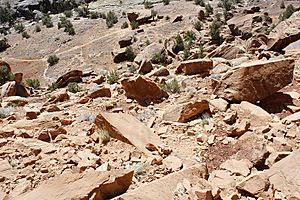 Grand valley-sand stone rocks