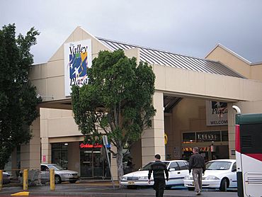 GreenValleyNSWplaza.jpg