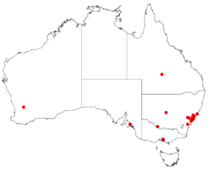 Hakea gibbosaDistMap56.png