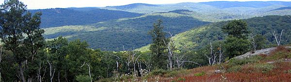 Harriman state park