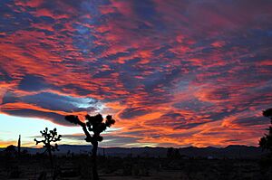 High Desert Twilight-3