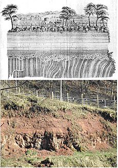 Hutton Unconformity, Jedburgh