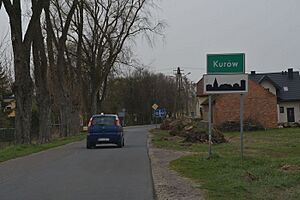 Kurów I