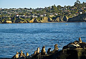 La Jolla Shores view.jpg